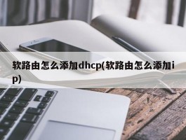 软路由怎么添加dhcp(软路由怎么添加ip)