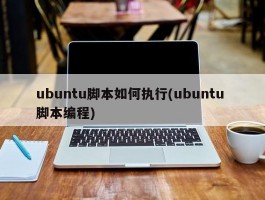 ubuntu脚本如何执行(ubuntu 脚本编程)