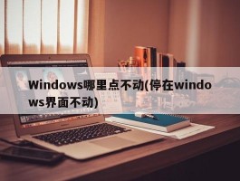 Windows哪里点不动(停在windows界面不动)