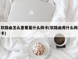 软路由怎么查看是什么网卡(软路由用什么网卡)