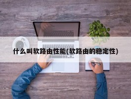 什么叫软路由性能(软路由的稳定性)