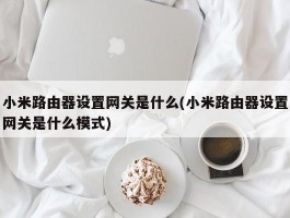 小米路由器设置网关是什么(小米路由器设置网关是什么模式)