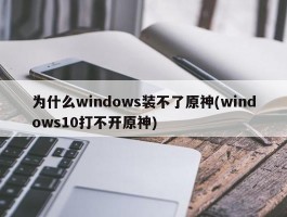 为什么windows装不了原神(windows10打不开原神)