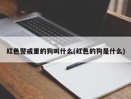 红色警戒里的狗叫什么(红色的狗是什么)