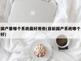 国产里哪个系统最好用些(目前国产系统哪个好)