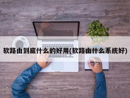 软路由到底什么的好用(软路由什么系统好)