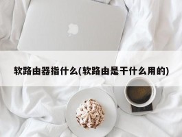 软路由器指什么(软路由是干什么用的)