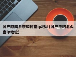 国产麒麟系统如何查ip地址(国产电脑怎么查ip地址)