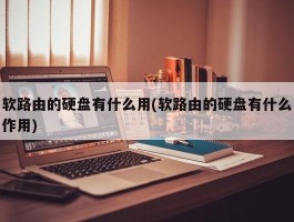 软路由的硬盘有什么用(软路由的硬盘有什么作用)