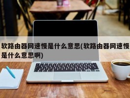 软路由器网速慢是什么意思(软路由器网速慢是什么意思啊)