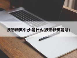 反恐精英中gb是什么(反恐精英是啥)