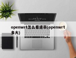 openwrt怎么看速率(openwrt多大)