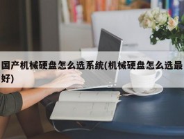 国产机械硬盘怎么选系统(机械硬盘怎么选最好)