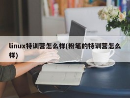 linux特训营怎么样(粉笔的特训营怎么样)