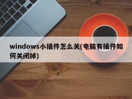 windows小插件怎么关(电脑有插件如何关闭掉)