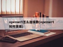 openwrt怎么连接数(openwrt如何使用)