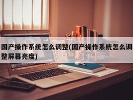 国产操作系统怎么调整(国产操作系统怎么调整屏幕亮度)