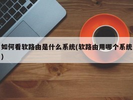 如何看软路由是什么系统(软路由用哪个系统)