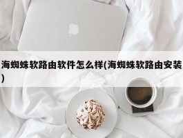 海蜘蛛软路由软件怎么样(海蜘蛛软路由安装)