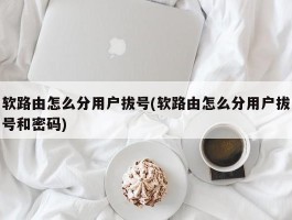 软路由怎么分用户拔号(软路由怎么分用户拔号和密码)