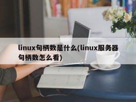 linux句柄数是什么(linux服务器句柄数怎么看)