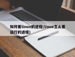 如何看linux的进程(linux怎么看运行的进程)