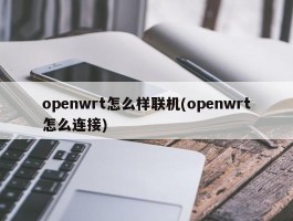 openwrt怎么样联机(openwrt怎么连接)