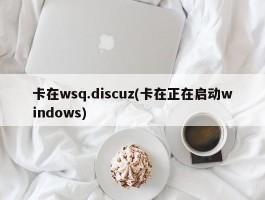 卡在wsq.discuz(卡在正在启动windows)