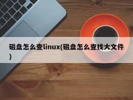 磁盘怎么查linux(磁盘怎么查找大文件)