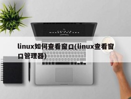 linux如何查看窗口(linux查看窗口管理器)