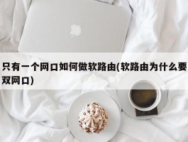 只有一个网口如何做软路由(软路由为什么要双网口)