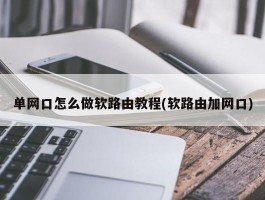 单网口怎么做软路由教程(软路由加网口)