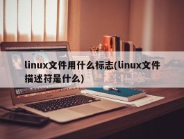 linux文件用什么标志(linux文件描述符是什么)