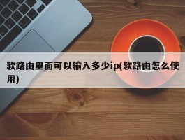 软路由里面可以输入多少ip(软路由怎么使用)