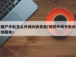 国产手机怎么升级内核系统(如何升级手机内核版本)