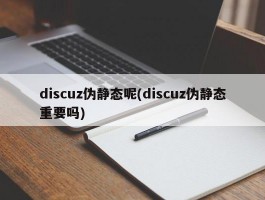 discuz伪静态呢(discuz伪静态重要吗)