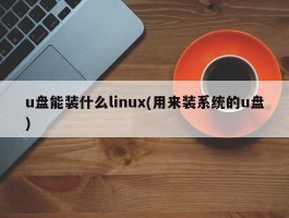 u盘能装什么linux(用来装系统的u盘)