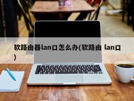 软路由器lan口怎么办(软路由 lan口)