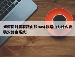 如何同时装软路由和nas(软路由为什么要装双路由系统)