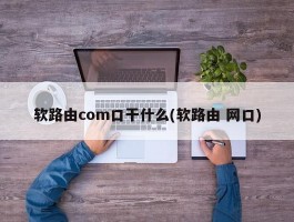 软路由com口干什么(软路由 网口)