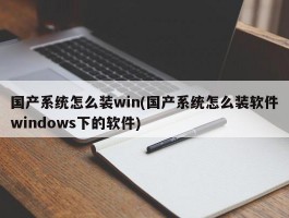 国产系统怎么装win(国产系统怎么装软件windows下的软件)