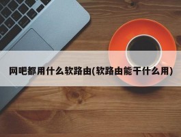 网吧都用什么软路由(软路由能干什么用)