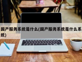 国产服务系统是什么(国产服务系统是什么系统)