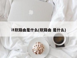 it软路由是什么(软路由 是什么)