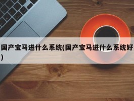 国产宝马进什么系统(国产宝马进什么系统好)