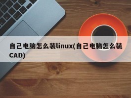 自己电脑怎么装linux(自己电脑怎么装CAD)