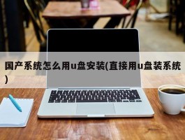 国产系统怎么用u盘安装(直接用u盘装系统)