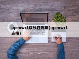 openwrt双线在哪里(openwrt连接)