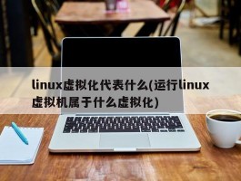 linux虚拟化代表什么(运行linux虚拟机属于什么虚拟化)