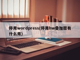 停用wordpress(停用hw叠加层有什么用)